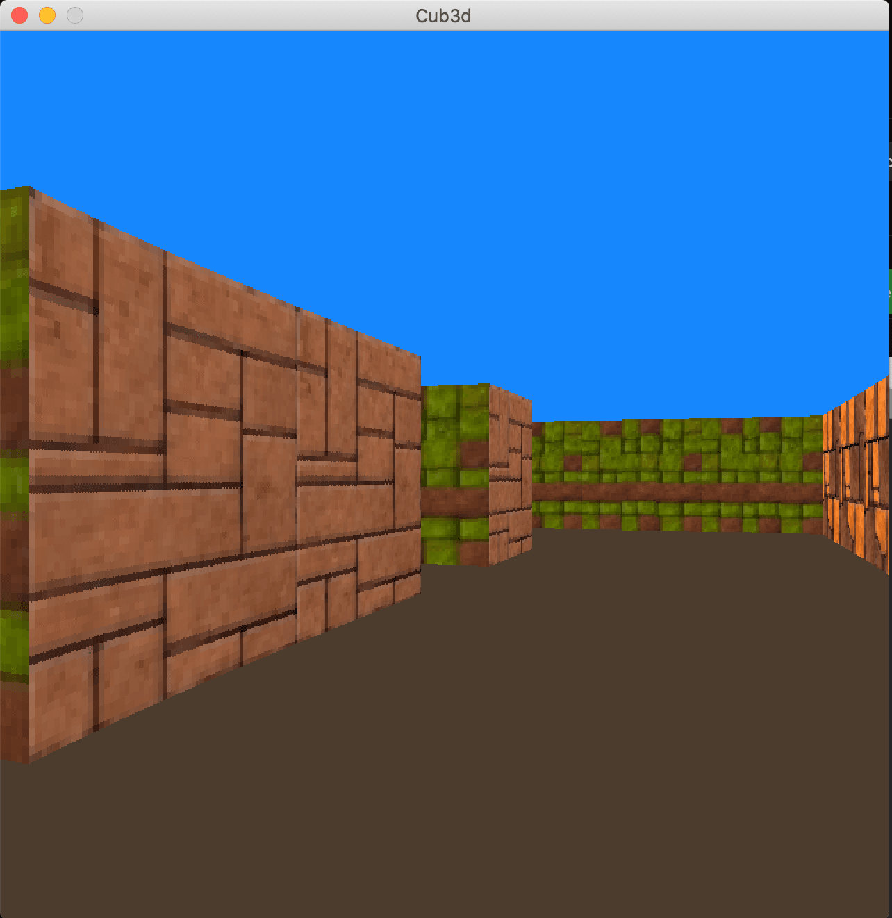 project screenshot